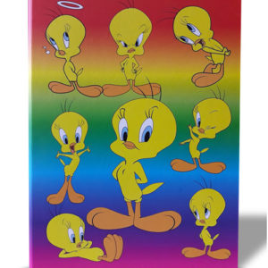 CADERNO ARGOLADO UNIVERSITÁRIO CARTONADO PIU PIU GRAFONS