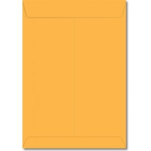 ENVELOPE SACO KRAFT OURO 25 SKO 025 17,6 X 25 CM 80G CAIXA COM 250 UNIDADES FORONI